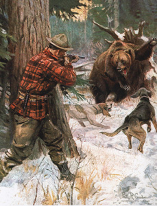 standoff with bear, hunter and dogs